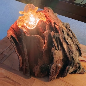 Helen added a photo of their purchase