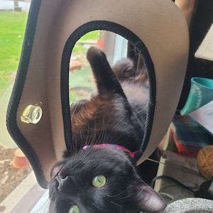 Zoe a ajouté une photo de son achat