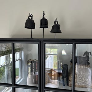 Paula added a photo of their purchase