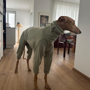 Sara ha aggiunto una foto del proprio acquisto