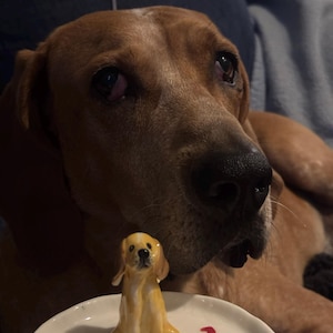 Abby ha añadido una foto de su compra