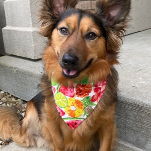 Kimberly added a photo of their purchase