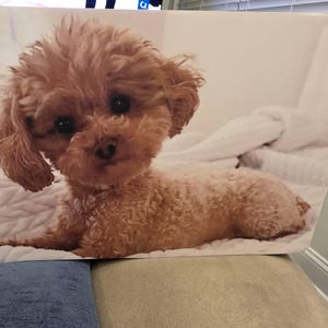 Rosa added a photo of their purchase