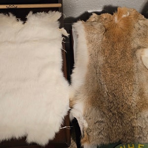 1 Pcs Natural Color Rabbit Fur Pelts Craft Grade Assorted - Etsy