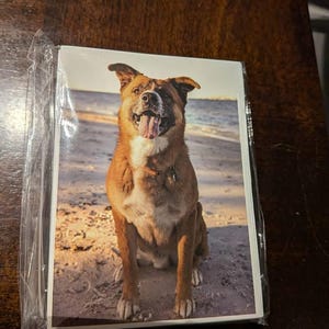 Travis ha añadido una foto de su compra
