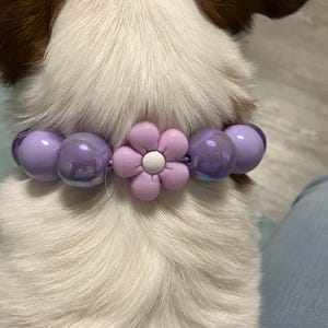 Melanie added a photo of their purchase