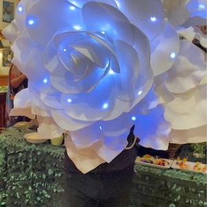 J.Michael added a photo of their purchase