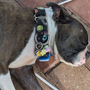 Pet Supplies : Sushi Cat Collar With Onigiri Bell