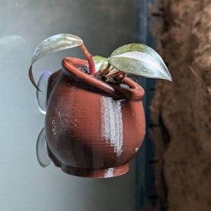 Emily hat ein Foto des gekauften Artikels hinzugefügt