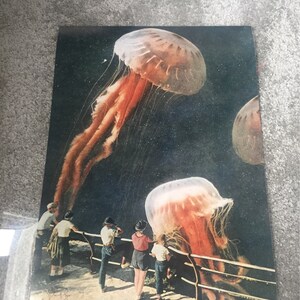 Kelly added a photo of their purchase