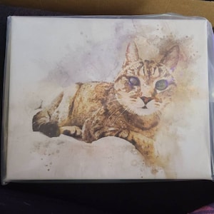 Paige added a photo of their purchase