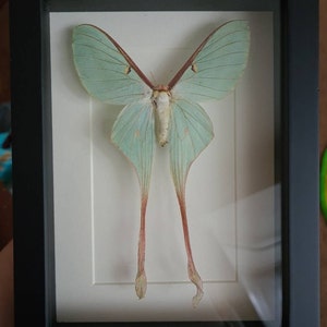 Aria added a photo of their purchase