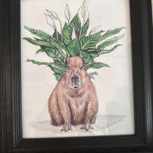Chesley added a photo of their purchase
