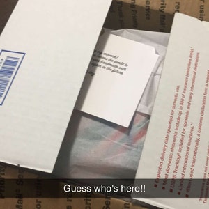 Max added a photo of their purchase
