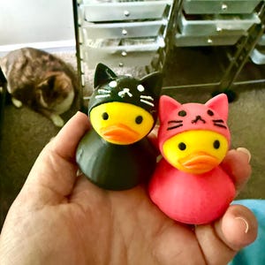 Amy added a photo of their purchase