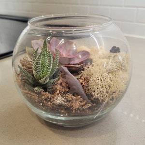 Natalie added a photo of their purchase