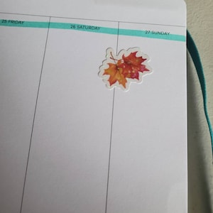 Nicole hat ein Foto des gekauften Artikels hinzugefügt
