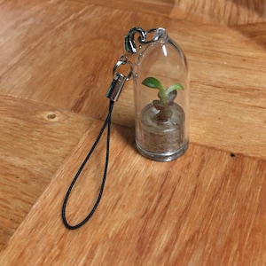 Ursula added a photo of their purchase