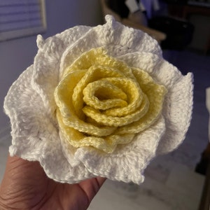 Melody added a photo of their purchase