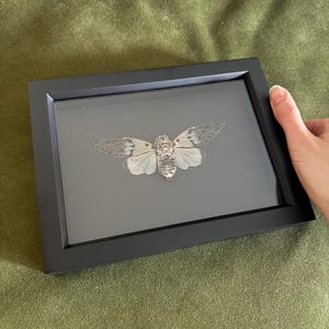 Isabella added a photo of their purchase
