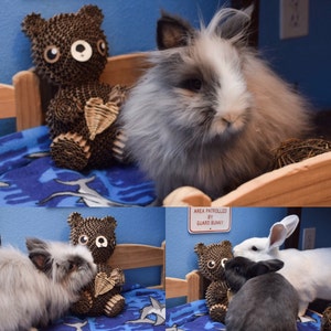 6 Pcs Rabbit's Healthy Foot Pad Bunny Cage Mat Mats For Rabbits Pads