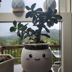 Michelle added a photo of their purchase