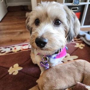 Etsy buyer added a photo of their purchase