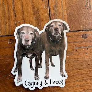 Zoey added a photo of their purchase