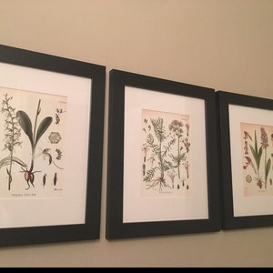 Carla added a photo of their purchase