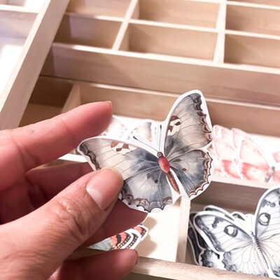 Cozy Procreate Color Palette Etsy