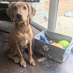 Molly a ajouté une photo de son achat