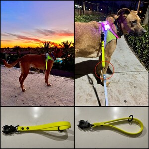 Sush added a photo of their purchase