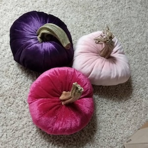 TammyAnn added a photo of their purchase