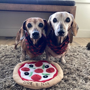 Pizza Snuffle Toy - Molly's Healthy Pet Food Market