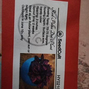 Amanda added a photo of their purchase
