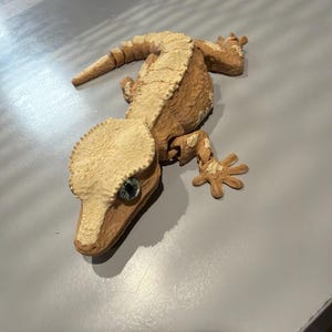 Molly added a photo of their purchase