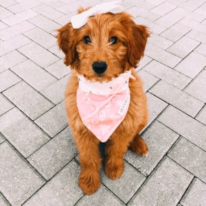 Dog Bandana Willa Grey Multi