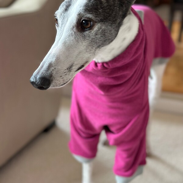 Greyhound Pajamas Whippet Pajamas Greyhound Tee Long Sleeved Greyhound ...