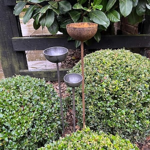 Kate added a photo of their purchase