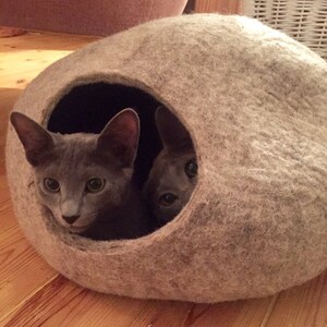 Janine added a photo of their purchase