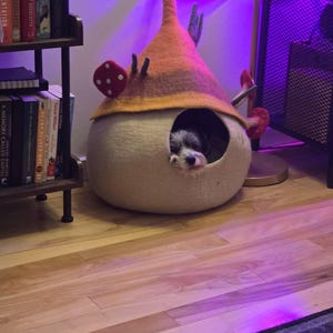Mike added a photo of their purchase