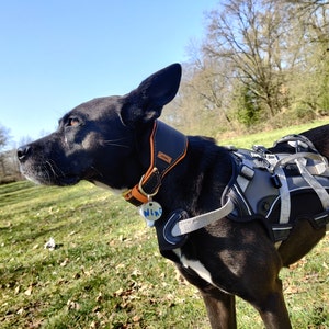 Uli added a photo of their purchase