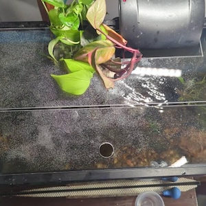 Katt added a photo of their purchase