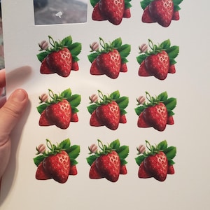 Daniella added a photo of their purchase