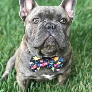 fourth of july dog bow tie