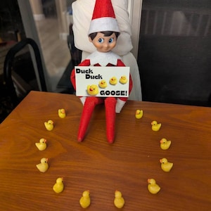Lindsay hat ein Foto des gekauften Artikels hinzugefügt