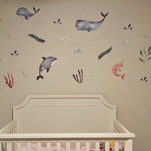 mbradshaw1231 added a photo of their purchase