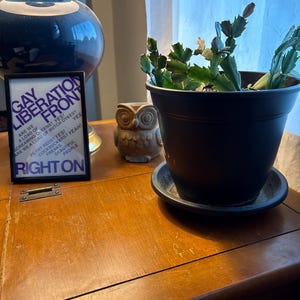 Tony added a photo of their purchase