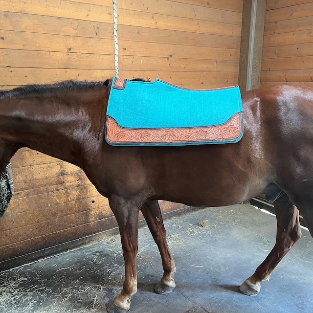 Tapis De Selle Western Hilason – Feutre De Laine Bleu Avec Mains En Cuir Vieilli
