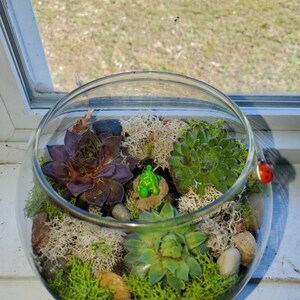 Jen added a photo of their purchase
